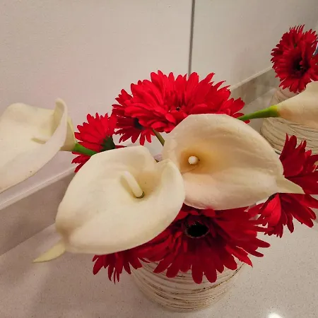 Charming In Calheta Beach - Esmeralda Lägenhet